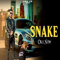 Snake Latest Haryanvi Hip Hop 2025 By Sunny Boi Singh Poster